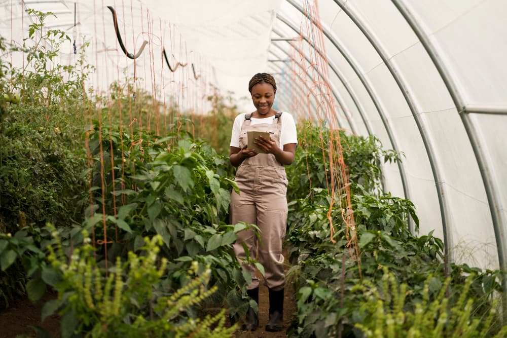 Agricultural AI for Sustainable Farming
